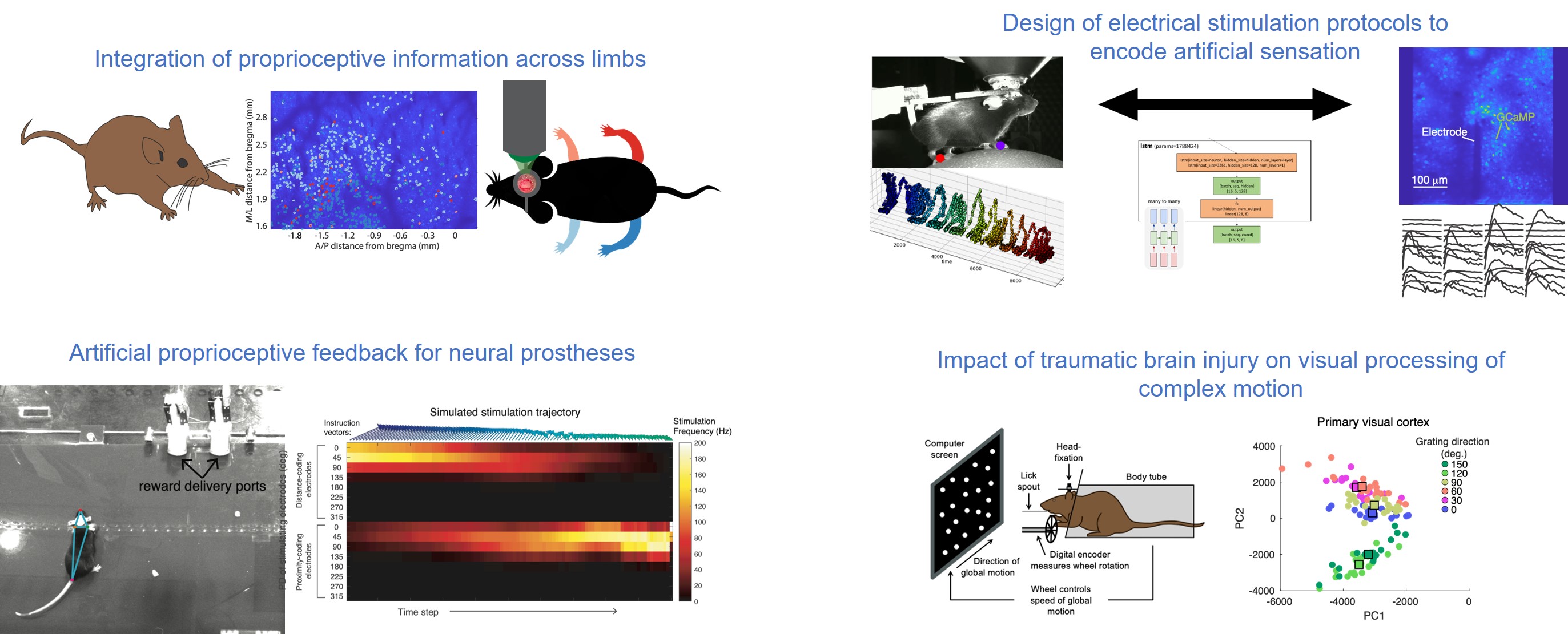 Read more: The Dadarlat Lab – Maria Dadarlat